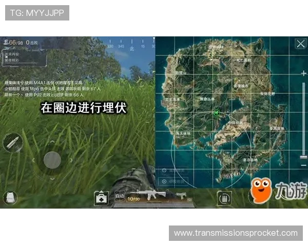 深入解析三株路打法的战术布局与应对策略提升整体战斗水平
